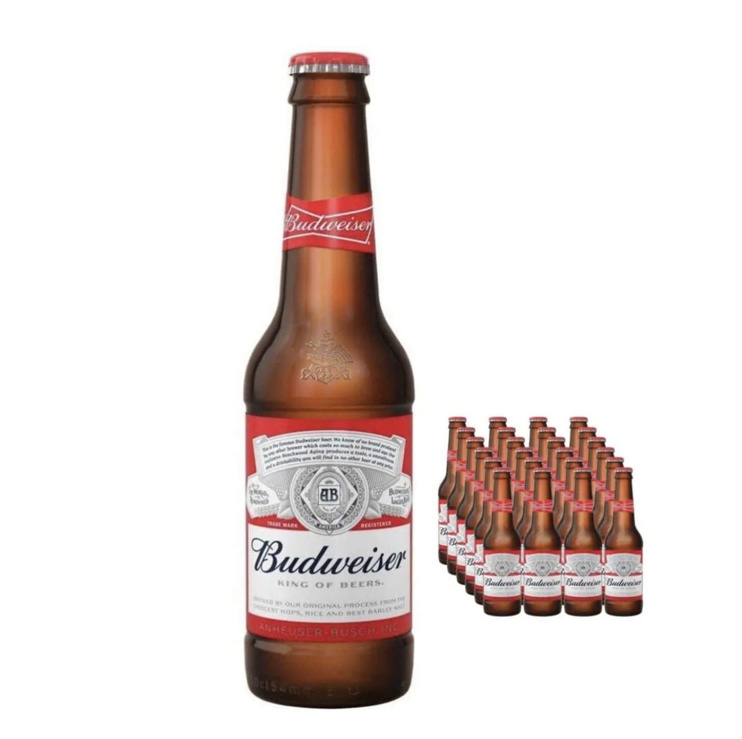 Budweiser 24pk